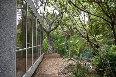 Enlarge photo 143