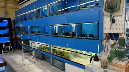 Enlarge photo 32