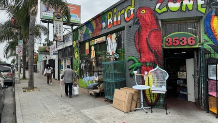 Junior's Pet Zone