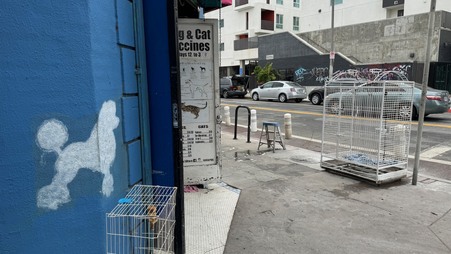 Enlarge photo 5