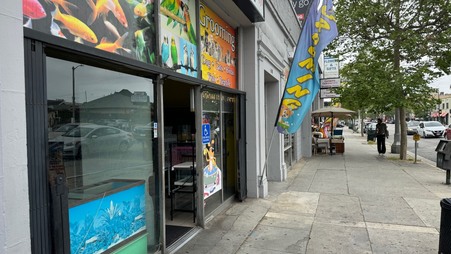 Enlarge photo 5