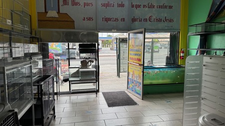 Enlarge photo 11