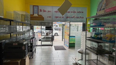 Enlarge photo 12