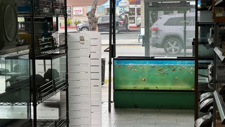 Enlarge photo 42