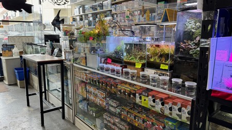 Enlarge photo 24