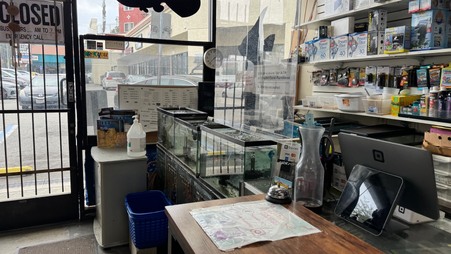 Enlarge photo 28