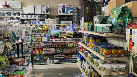 Enlarge photo 37