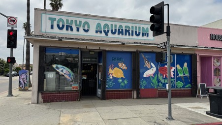 Tokyo Aquarium
