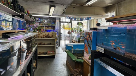 Enlarge photo 20