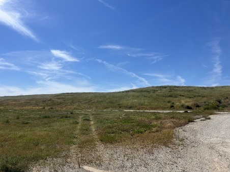 Enlarge photo 58