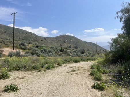 Enlarge photo 25