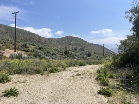 Enlarge photo 26