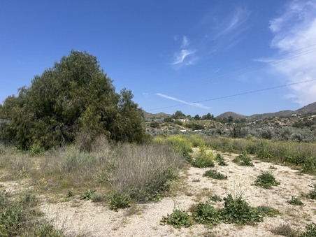 Enlarge photo 21