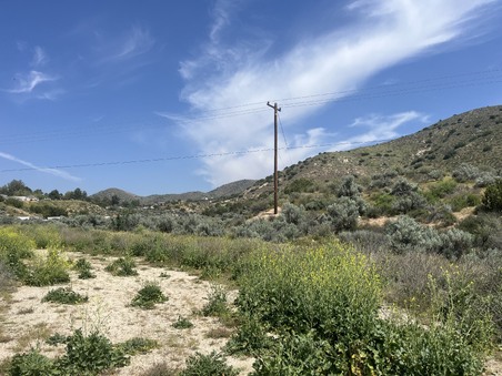 Enlarge photo 35