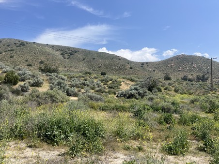 Enlarge photo 5