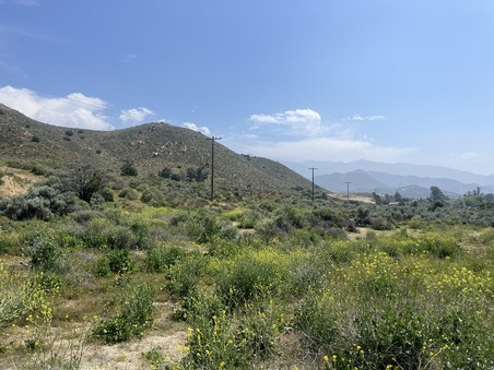 Enlarge photo 36