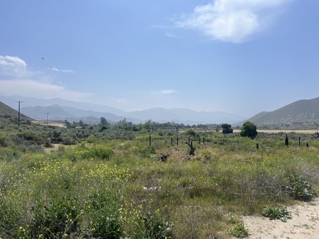 Enlarge photo 83