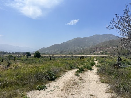 Enlarge photo 66