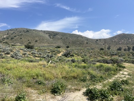 Enlarge photo 16