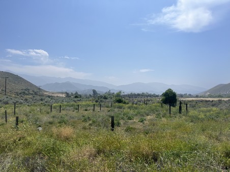 Enlarge photo 84