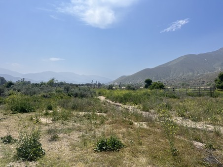 Enlarge photo 67