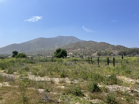 Enlarge photo 41