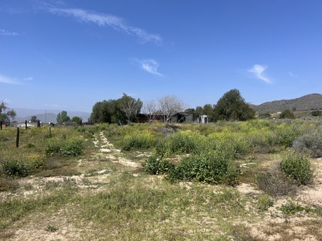 Enlarge photo 17