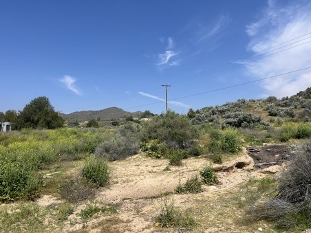 Enlarge photo 27