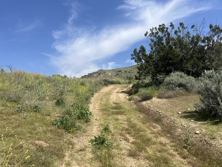 Enlarge photo 7