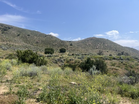 Enlarge photo 22