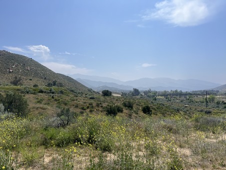 Enlarge photo 78