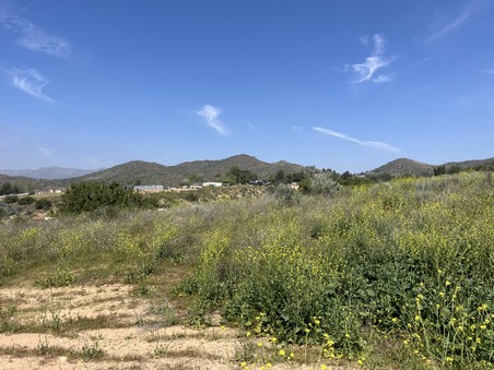 Enlarge photo 12