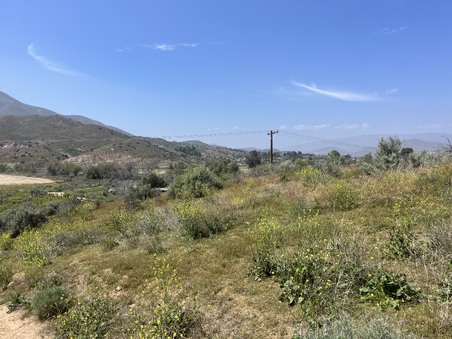 Enlarge photo 23