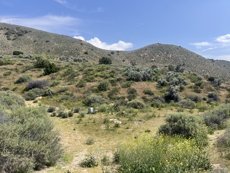 Enlarge photo 8
