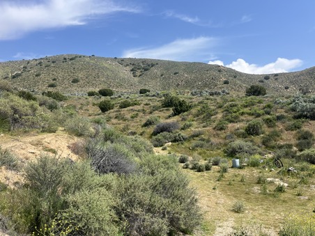 Enlarge photo 9