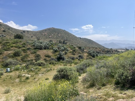 Enlarge photo 38