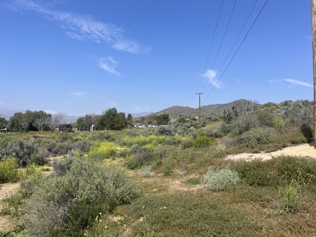 Enlarge photo 32