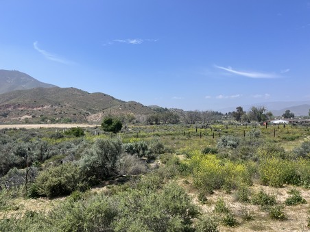Enlarge photo 46