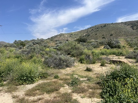 Enlarge photo 4