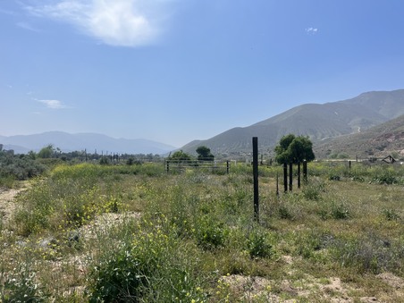 Enlarge photo 72