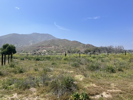 Enlarge photo 39