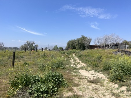 Enlarge photo 28