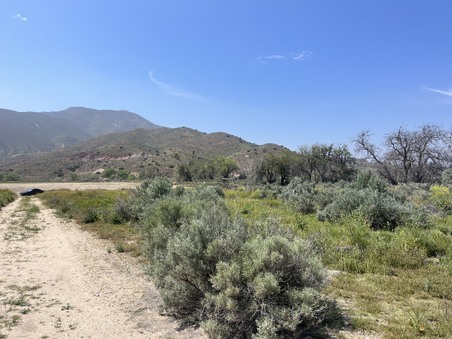 Enlarge photo 33