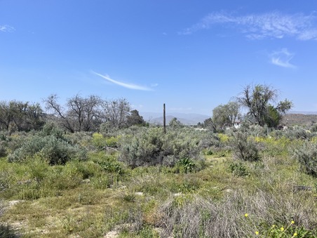 Enlarge photo 18