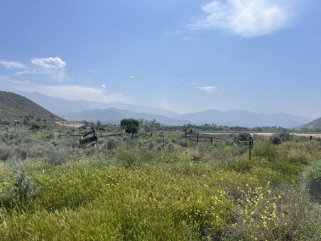Enlarge photo 85