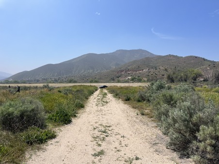 Enlarge photo 59