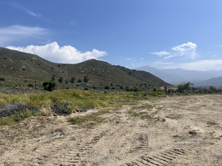 Enlarge photo 42