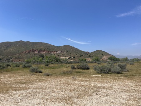 Enlarge photo 40