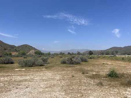 Enlarge photo 47