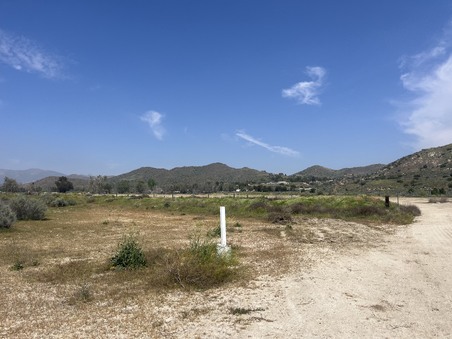Enlarge photo 74